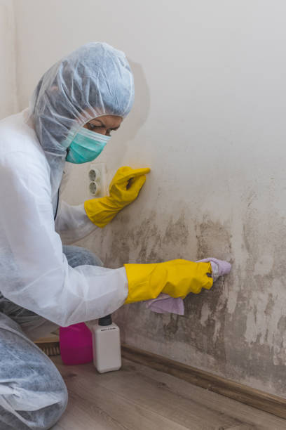 Best Biohazard Mold Removal  in Taft Mosswood, CA